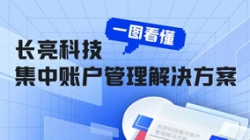 一图看懂J9集团国际科技集中账户治理解决规划