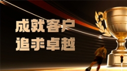 78天攻坚成功！某股份造银杏装一表通”报送效能&质量双沉领跑